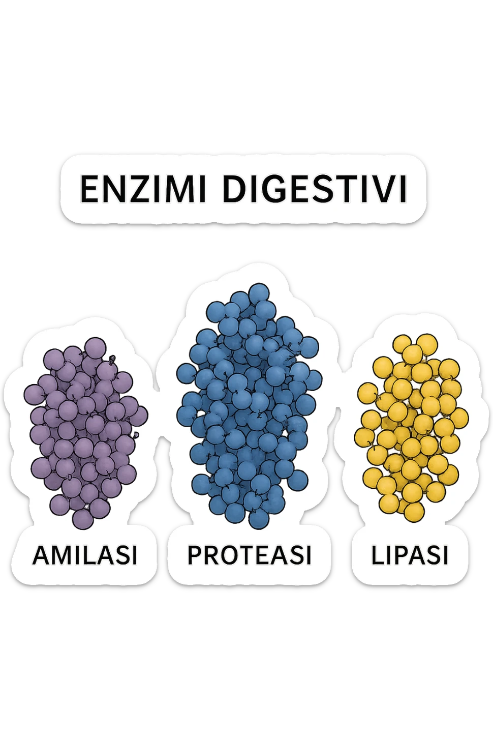 enzimi digestivi sticker