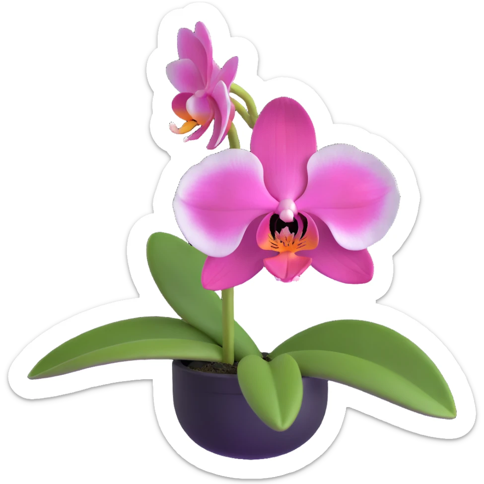 Elegant phalaenopsis moth orchid with detailed white and pink petals and green stem sticker