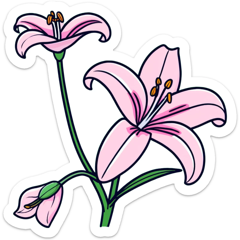 Delicate pink lily flower with soft petals and dark pink accents, decorative design sticker