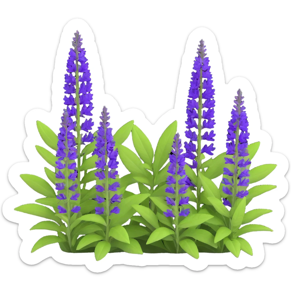 3D iOS style illustration of Salvia nemorosa, dense bush with upright purple flower spikes and green leaves, realistic and vibrant sticker