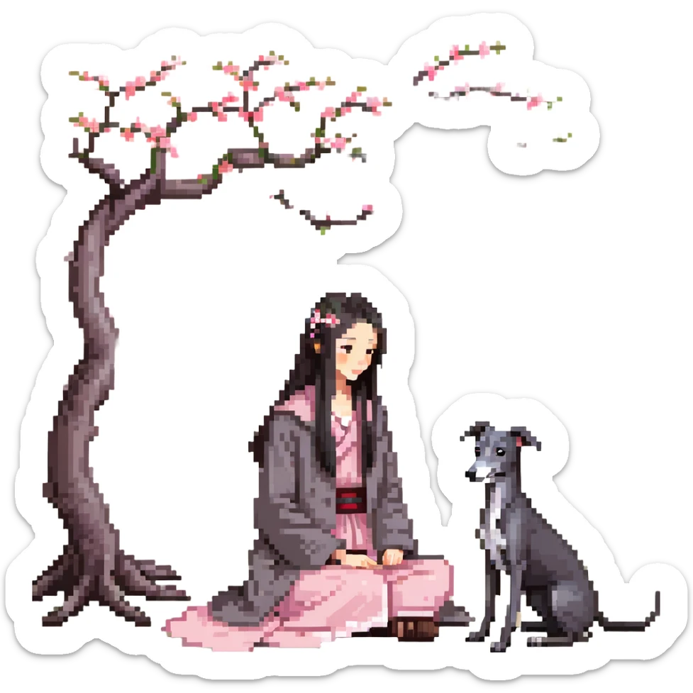 A young Chinese girl with long black hair and a pure dark grey Italian Greyhound with absolutely NO white markings anywhere on its body sitting under a cherry blossom tree. The dog must be completely solid dark grey with no white on muzzle, paws, or chest. sticker