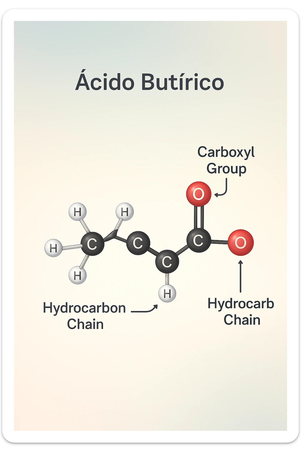 the acido butirrico molecule floats in the center, with animated arrows or labels pointing to the carboxyl group and the hydrocarbon chain. The background is a soft gradient, and the overall style is clean, professional, and suitable for educational materials. sticker