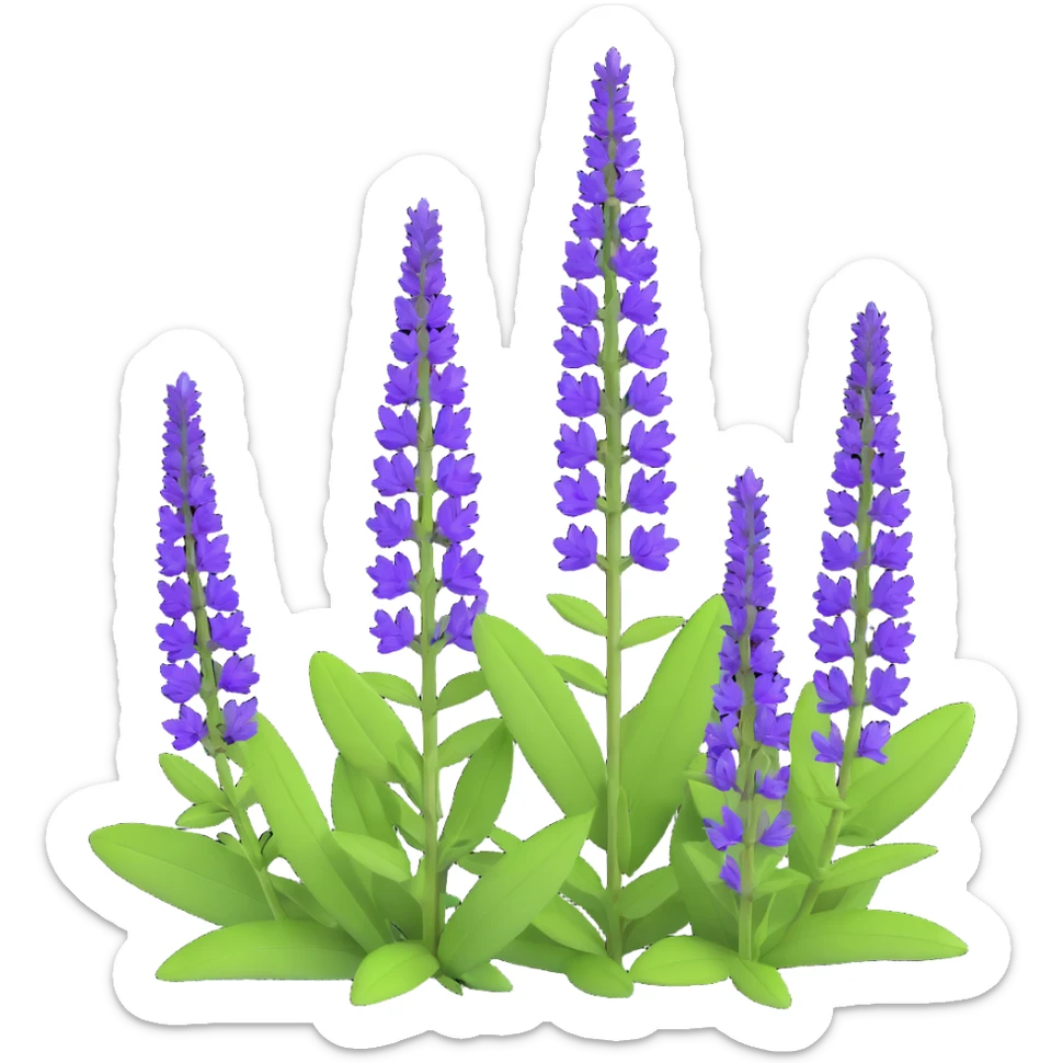 3D iOS cartoon icon of Salvia nemorosa with vertical purple flower spikes, green leaves, expressive volume, cartoon proportions, transparent background sticker