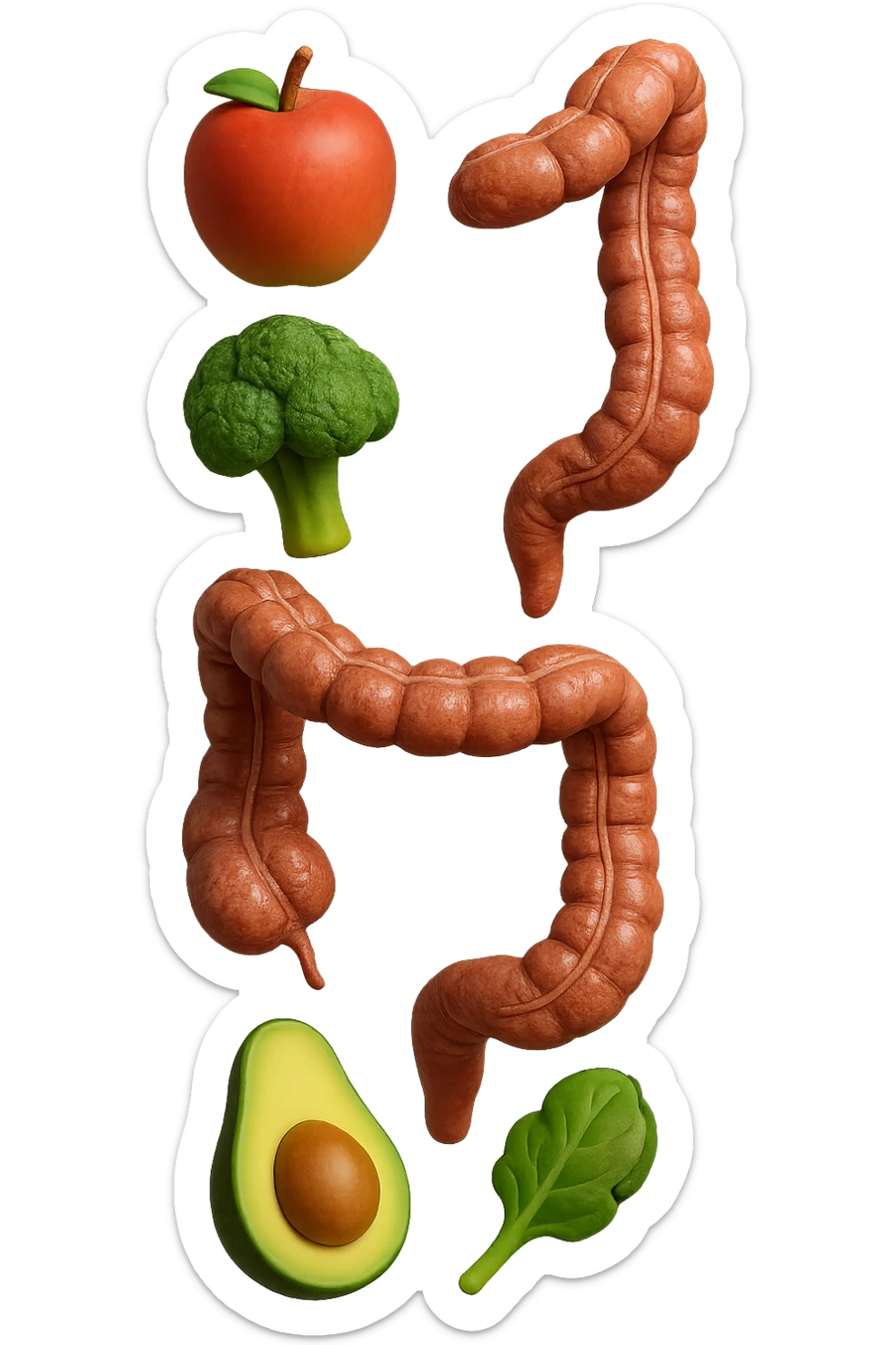 emoji stile iphone in 3d di cibo sano che fluttua in aria vericalmente insieme a pezzi di colon umano anatomico, iperrealistico 4k sticker