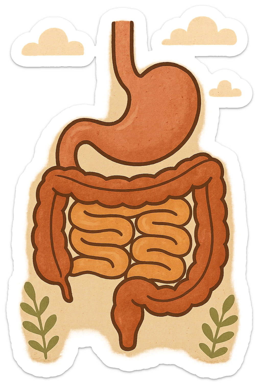 Anatomical illustration of the human digestive system, showing the stomach, small intestine, and large intestine. Smooth 3D style, soft shading, clean and simple design.
 sticker