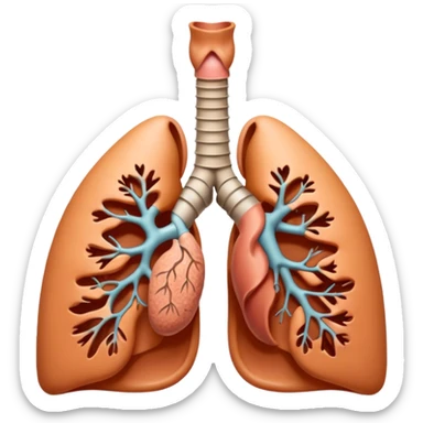 nose, trachea and lungs sticker