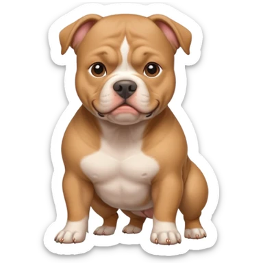 American bully sticker