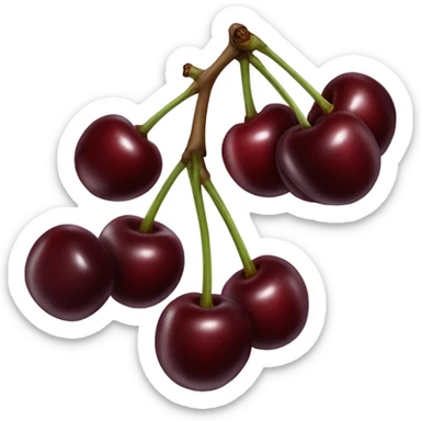 Dark red double cherry sticker