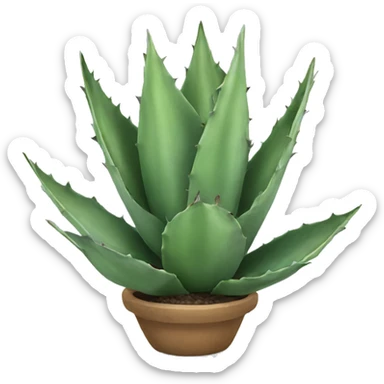 Agave sticker