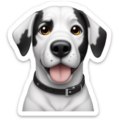 perro Mcnab de 6 años blanco y negro sticker
