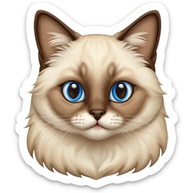 
Siamese cat: long hair fur blue eyes sticker