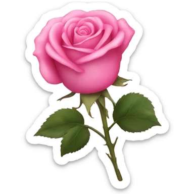 Pink rose sticker