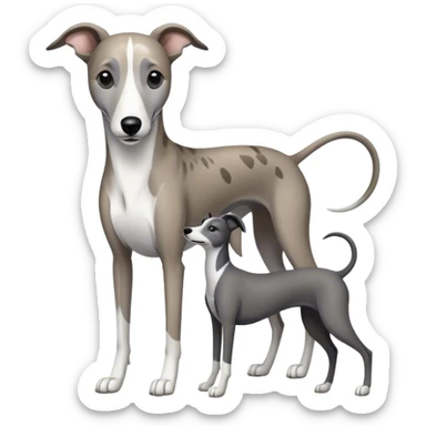 Grey and white brindle greyhound with black and white greyhound sticker