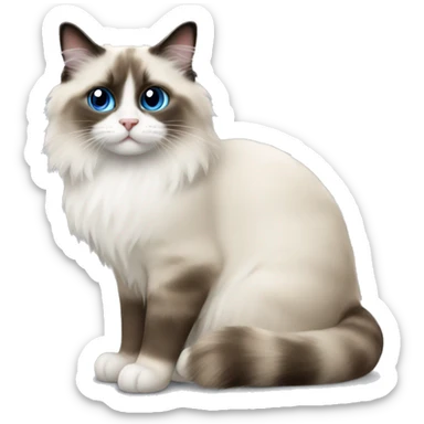A ragdoll cat sticker