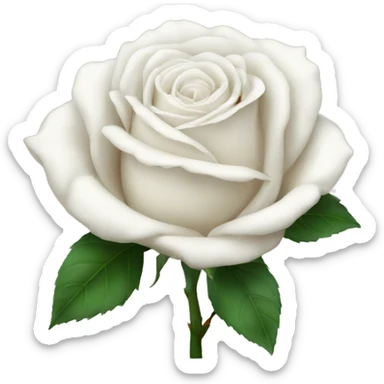 white rose sticker