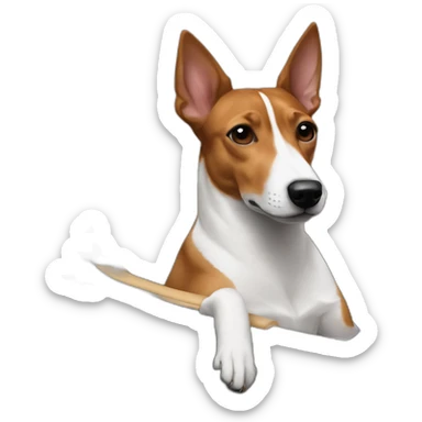 Tricolor basenji sitting in driver’s seat of a black Aston Martin sticker