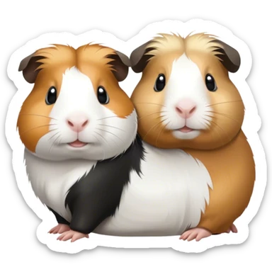Two guinea pigs. One is black and white. The other is blonde and white. sticker
