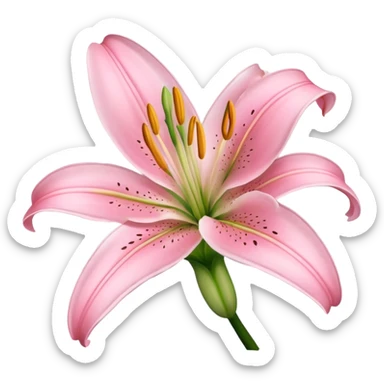 light pink lilium sticker