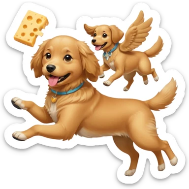 A dog with girls wearing cheese with shoes in his mouth and flying sticker