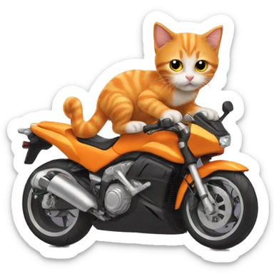 Orange kitten riding a super bike sticker