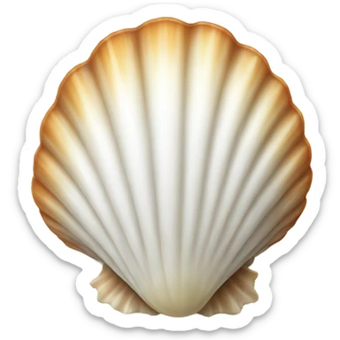 white-scallop-seashell sticker