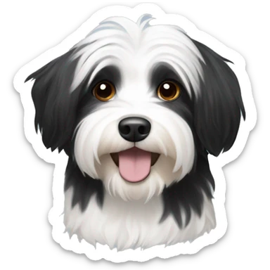 Black and white havanese  sticker