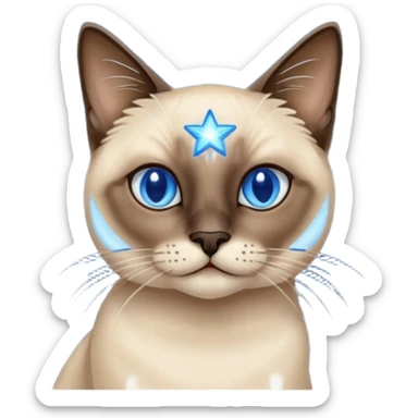 Siamese cat and starry night van gogh sticker