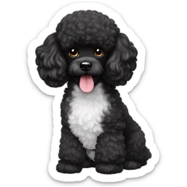 miniture black poodle sticker