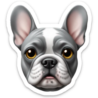 French bulldog in grey sticker