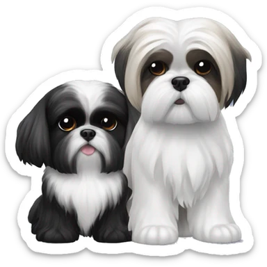 Shih tzu black and white and shi tzu black sticker