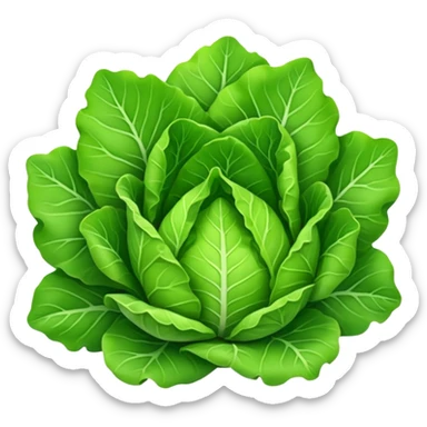 lettuce, not flower shaped, normal shaped sticker
