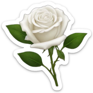 White rose sticker