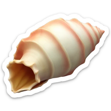 Conch shell sticker