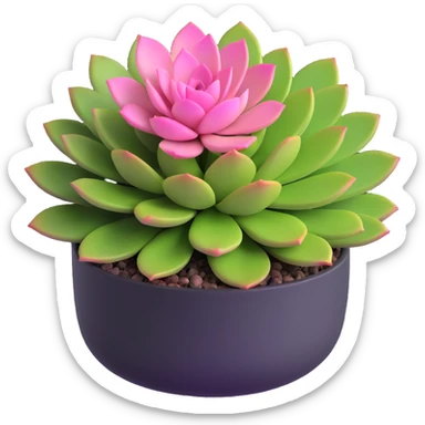 3D style succulent plant with pink and green leaves in a short round pot sticker