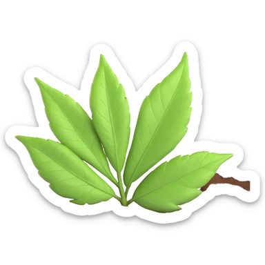 A single fresh green leaf lying on top of soil or ground. Natural lighting, soft shadows sticker