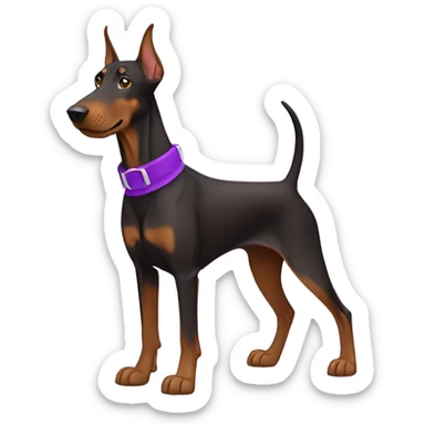 Brown Doberman dog with purple collar  sticker