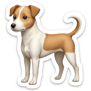 a full body facing front on of a buff white beagle cross jack russell terrier looking dog the size of a kelpie with light brown long ears resting on its face and a light brown patch above one eye and a large snout. the rest of the dog is completely white.  sticker