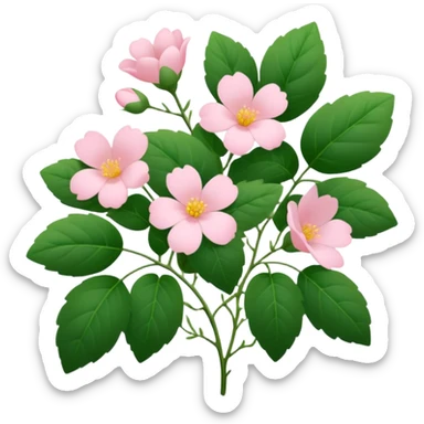 Aesthetic flowers and plants growing from the ground in colours of soft pink matching the deep green leaves (to describe/match with the word flourish) more of a wild bush or vine  sticker