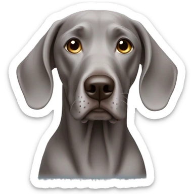 Weimaraner  sticker