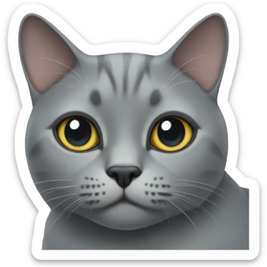 grey british cat  sticker