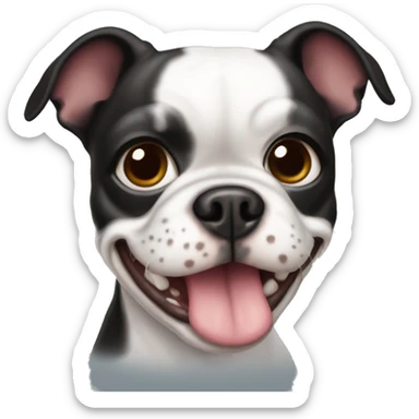 Boston terrier hembra enferma  sticker