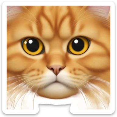 Orange Persian cat sticker
