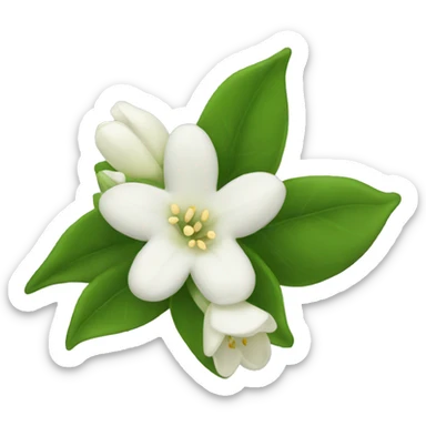 Night Jasmine flower sticker