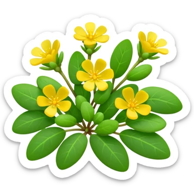 purslane bush plant sticker