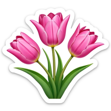 Pink tulips sticker