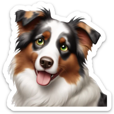 Red Merle Australian shepherd with one blue eye and one green eye sticker