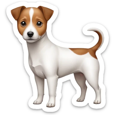 Jack Russell Terrier dog sticker