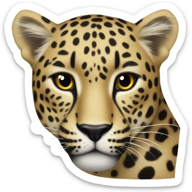leopard  sticker