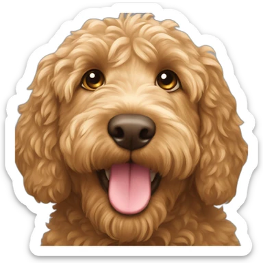 golden young Australian labradoodle sticker