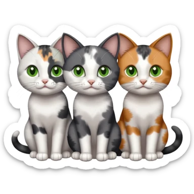 3 different coloured small cats including a dark grey and white, and a patchy calico with hazel eyes and a completely solid dark grey with green eyes and only white paws sticker